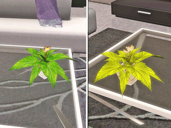 Sims 3 — Ung999 - Table Plant 09 by ung999 — Ung999 - Table Plant 09 @ TSR