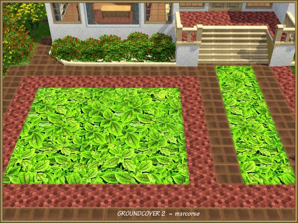 Sims 3 — Groundcover2_marcorse by marcorse — A textured-leaf Hosta groundcover terrain paint.