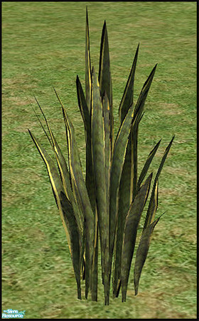 Sims 2 — Camper - plant by steffor — 