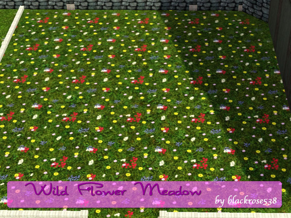 Sims 3 — Wild Flower Meadow by blackrose538 — A grass terrain paint with colorful flowers. Found as 'Colorful Grass' in