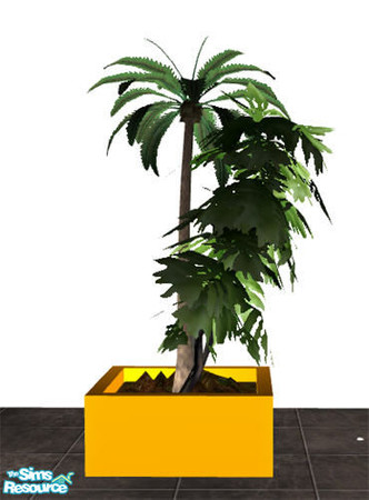 Sims 2 — Solarium  - Palmtree by Sasilia — 