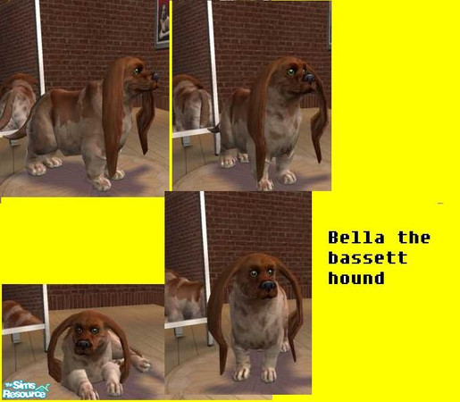 Sims 2 — Bella the bassett hound by corabelle42 — Bella is a bassett hound, she is red and tan dapple and a very sweet
