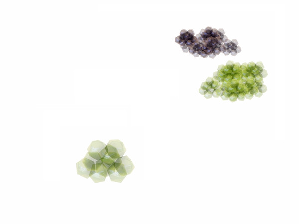 Sims 3 — Tokaj Grapes by Flovv — A small amount of cleaned grapes.