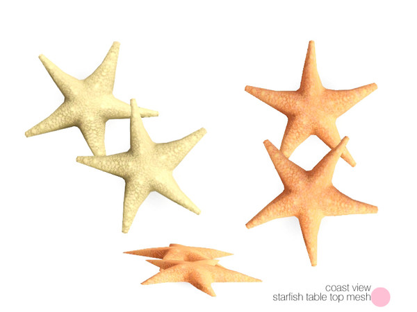 Sims 3 — Coast Starfish Table Top Mesh by DOT — Coast Starfish Table Top Mesh by DOT of The Sims Resource