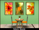 Sims 3 — Nature Beauty by Simmerluv862 — These are pictures of fall leaves. I hope you enjoy them in your game. I
