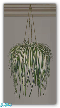 Sims 2 — NATURALS Hanging Spider Plant MESH by simtomatic — This is the Master file for all plants in this set. You will