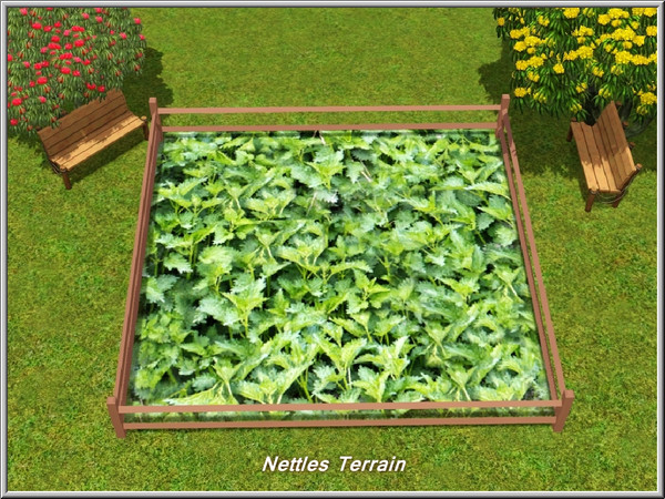 Sims 3 — Nettles Terrain_marcorse by marcorse — Luscious green nettles for your wild garden or herb patch
