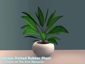 Sims 2 — Harlem II - Potted Rubber Plant by Padre — More Mid Century style items for your cool mid-century sims