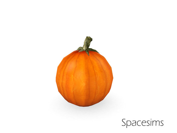 Sims 3 — Afiyet olsun - Pumpkin by spacesims — A freshly picked pumpkin.