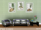 Sims 3 — Pine Cones by ziggy28 — A set of 3 paintings of different pine cone in a modern acrylic frame. Custom mesh by