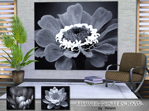 Sims 3 — Flower Posters B&W by Rirann — 3 large posters with big beautiful flowers in black and white. This wall