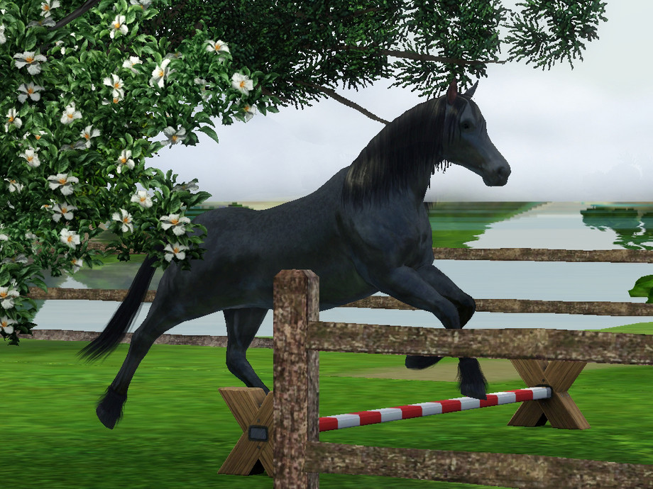 Sims 4 лошади. симс 4 лошадиное ранчо. чит коды симс лошади. симс 3 лошади. симс 3 жеребята.