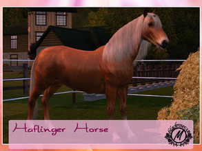 Sims 3 — Haflinger Horse by blackrose538 — The Haflinger, also known as the Avelignese, is a breed of horse developed in