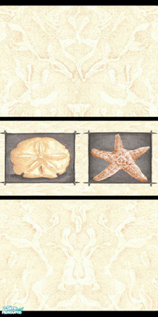 Sims 2 — Wall Natural Shells by Sheera — Part of my Seashells Walls & Floors Set, hope you'll like it. Enjoy !!!