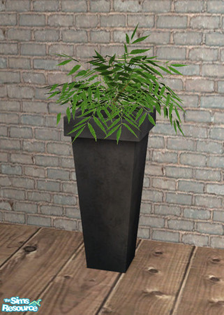 Sims 2 — Ram Diningroom - Plant by Murano — Plant in a weather beaten pot.