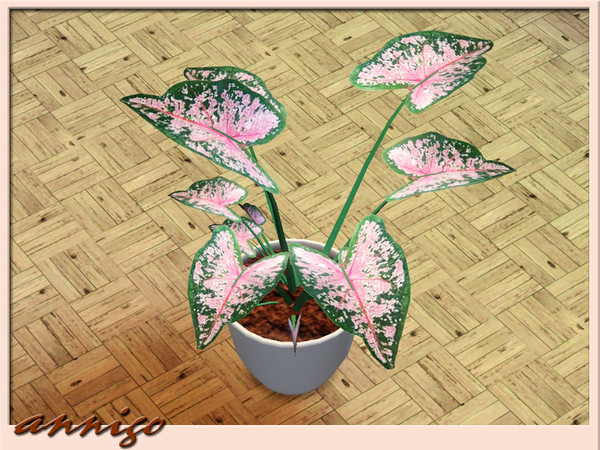 Sims 3 — Plant Caladea DR "Alika" by annigo — created by annigo@TSR