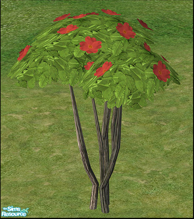 Sims 2 — Lake Garden - Dogwood Topiary - Red by sim_man123 — Red recolor of my Dogwood Topiary
