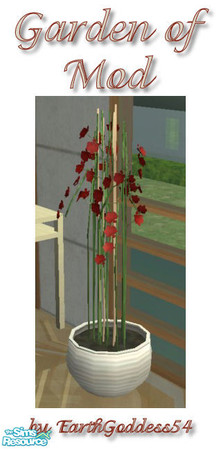 Sims 2 — Garden of Mod - Orchids by EarthGoddess54 — Mesh by Jope at Simply Styling is included with permission. Enjoy!