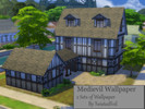 Sims 4 — Medieval Walls Set by TwistedFoil — About: This is an set of 2 Medieval wallpapers. Each set comes with 6 pieces