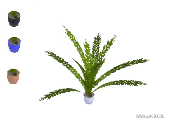 Sims 4 — Bedroom Minimalist - potted Palm by ShinoKCR — ceramic pot with Palm plant