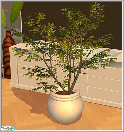 Sims 2 — plant set - B43 Whitepotted Plant by Birgit43 — 