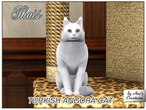 Sims 3 — Thais - turkish angora cat by Ani's Creations by AniFlowersCreations — Thais is a very aristocratic angora cat.