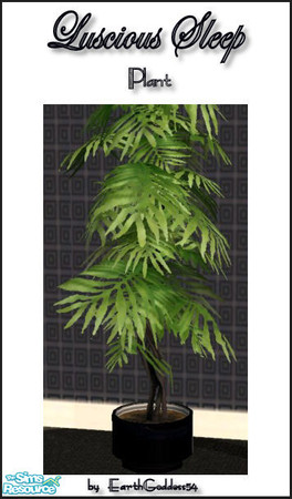 Sims 2 — Luscious Sleep - Plant by EarthGoddess54 — Made to match my Luscious Sleep Bedroom set. A black and silver