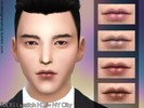 Sims 4 — MDS Lipstick H08 MALE - NY CITY 500followers gift by MrDesigner_Shop — + 500 followers gift on my Simblr + 12