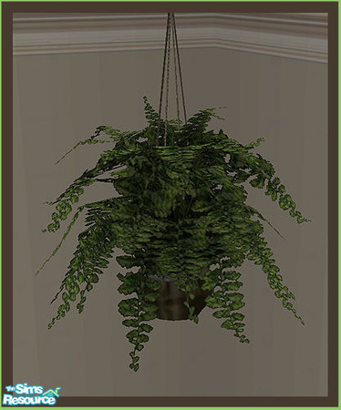 Sims 2 — LINEN Living Hanging Fern by simtomatic — You will need the Stand Fern mesh in order to use this file and any