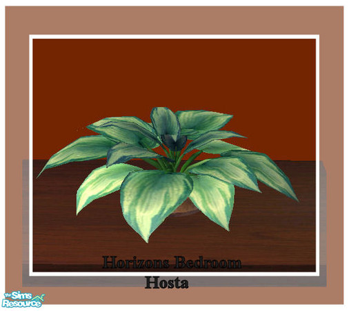 Sims 2 — Horizons Bedroom set - Hosta by Paleoanth — New plant mesh, part of the Horizons bedroom set. Download me. Put