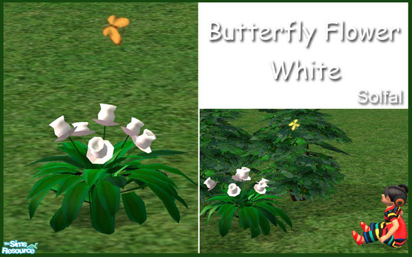 Sims 2 — Butterfly Garden Flower White by solfal — Do you love the butterflies! You can have them in the garden all the