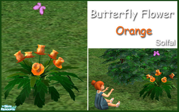Sims 2 — Butterfly Garden Flower Orange by solfal — Do you love the butterflies! You can have them in the garden all the