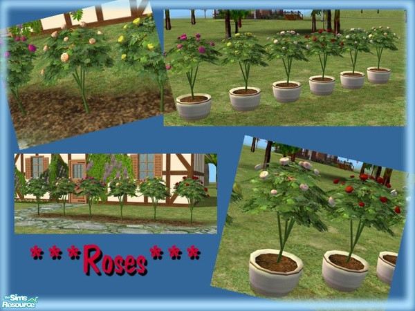 Sims 2 — Potted Rose Mesh by simscom — Brought to you by the Sims2 Community Project...Please enjoy this set we have made