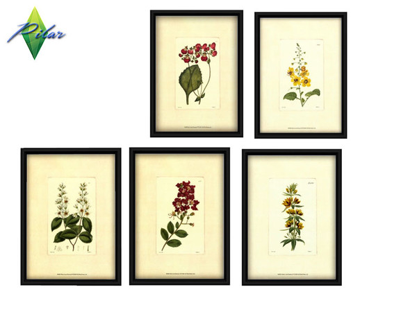 Sims 4 — Sassi Painting Aromatic by Pilar — classic kitchen