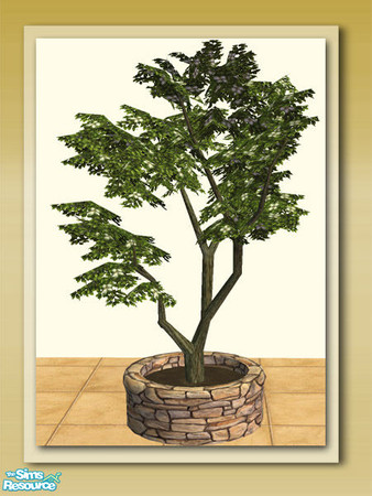 Sims 2 — Magnolia Tree 02 by Shakeshaft — Part of a recolour set of the Round Stone Potted Plants in my Garden Delights
