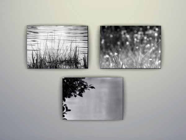Sims 4 — Black and White Frameless by thebluevial123 — Started turning my photography into paintings for my fellow