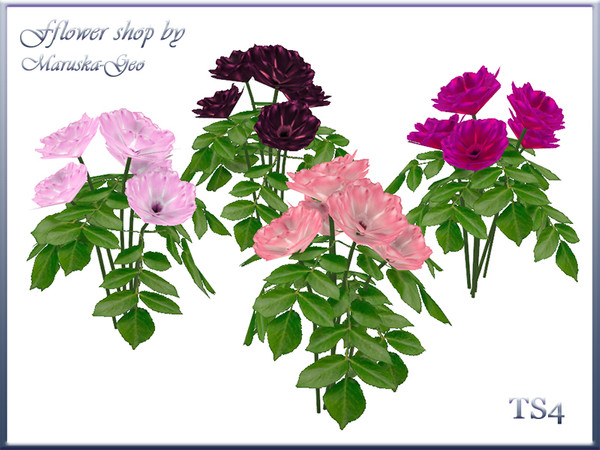 Sims 4 — M-Geo Fflower shop flowers 4 by Maruska-Geo — Maruska-Geo Fflower shop flowers 4. Dogroses