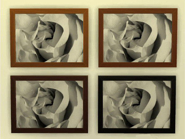 Sims 4 — Black and White Photographs by thebluevial123 — Started turning my photography into paintings for my fellow