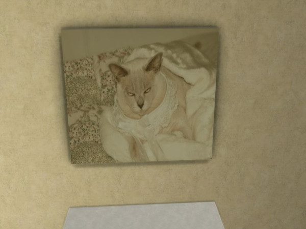 Sims 4 — Lilac Burmese painting set by Dear_Little_Heart — Two paintings of a lilac Burmese in a regal setting. 