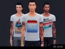 Sims 4 — Hipster Countries Shirt  by doumeki — New t-shirt hispter style for boys.