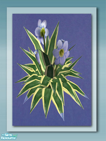 Sims 2 — Flowering Plant Recol 04 by Shakeshaft — Part of a recolour set of the Flowering Plant and Leaf Cover from my