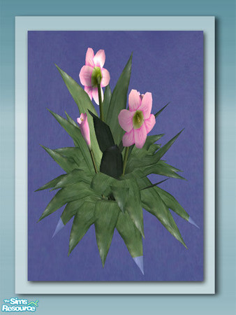 Sims 2 — Flowering Plant Recol 03 by Shakeshaft — Part of a recolour set of the Flowering Plant and Leaf Cover from my