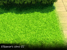 Sims 4 — Grass terrain01_ESCC by Elleanors_Sims_CC — New bright short grass terrain for a sunny garden. 