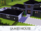 Sims 3 — James House by Homes_by_Hayley — A contemporary modern home with espresso floors and bright, white walls. The