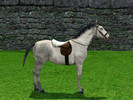 Sims 3 — Sheepskin Saddle by Lynxotic — A saddle with sheepskin seating. Comfy and warm, perfect for cooler weathers for