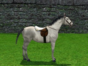 Sims 3 — Sheepskin Saddle by Lynxotic — A saddle with sheepskin seating. Comfy and warm, perfect for cooler weathers for
