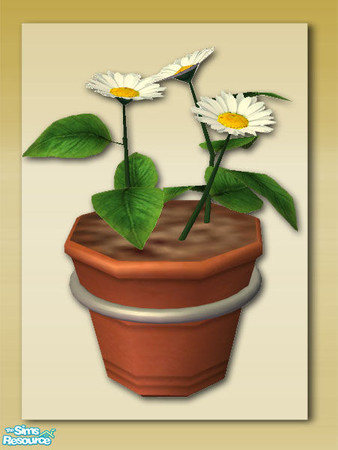 Sims 2 — Summer Days - Patio Wall Pot - 03 by Shakeshaft — Part of a new Patio Set for your Sims to brighten up their