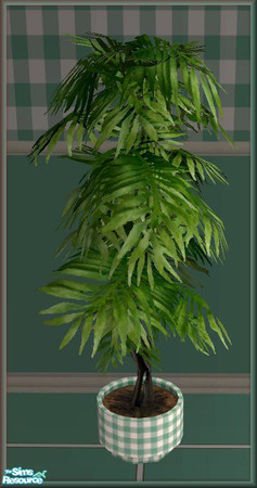 Sims 2 — NK Turano Add-On Pack - Aqua - Ficus by MoMama — A ficus with a little bit deeper green and an aqua gingham pot.
