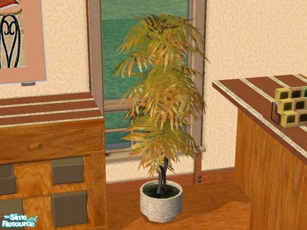 Sims 2 — TC34 - Ficus pot plant by minsmusic — White rattan pot with yellow green leaves.