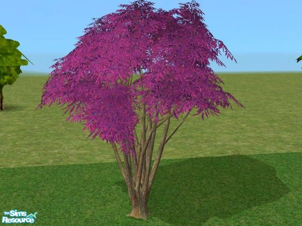 Sims 2 — Bay tree Recolors - Pink by minsmusic — A pink recolour of the Maxis Bay Tree,bark very light brown.